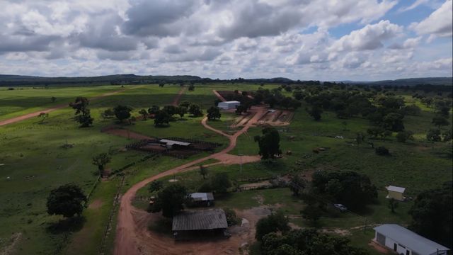 Médicos veterinário também têm a missão de ajudar no descarte de resíduos das fazendas