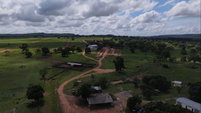 Fazendeiro, quer lucrar R$ 4 mil por hectare por ano? Especialista dá o caminho das pedras