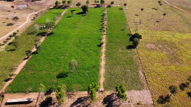 Pecuarista de Rondônia faz Dia de Campo para mostrar sistema de pastejo rotacionado