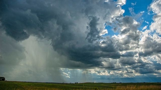 Como fica o ritmo de chuvas em áreas de pasto na semana