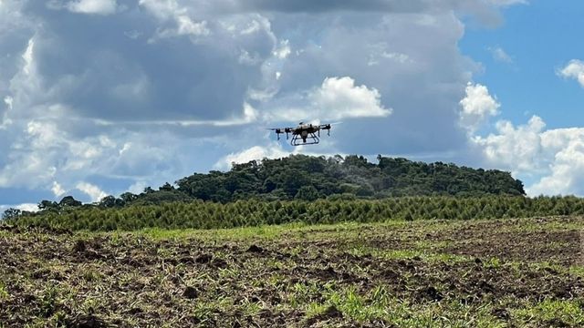 Drone sobrevoando uma área de pasto. Foto: Aurélio Freitas
