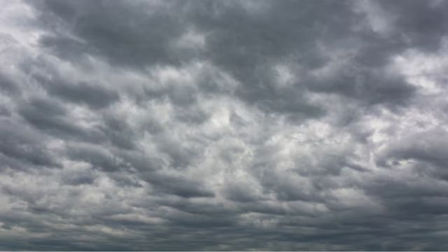 Saiba o ritmo das chuvas para a próxima semana em áreas de pasto