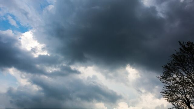 Confira onde chove ou não em áreas de pecuária no País