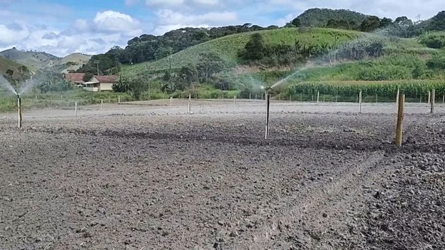 Irrigação em pasto rotacionado: saiba o tempo de rega ideal por piquete