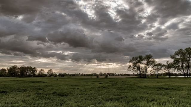 Saiba como fica o ritmo de chuvas em áreas de pasto no País