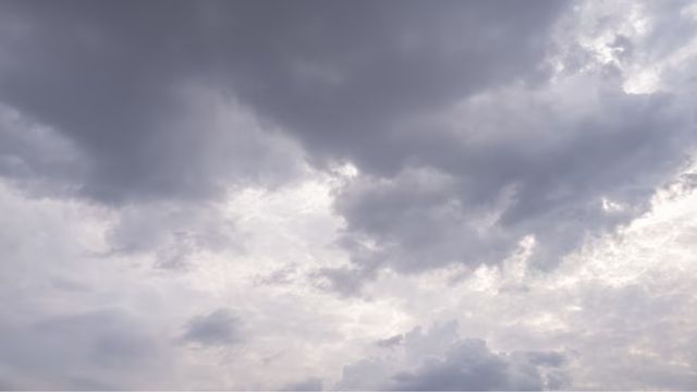 Carnaval é de chuva em áreas de pasto no País. Saiba onde