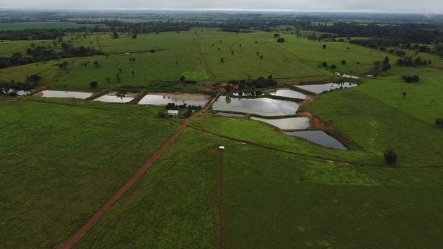 Vista aérea da propriedade em Rondônia. Foto: Matheus Roz