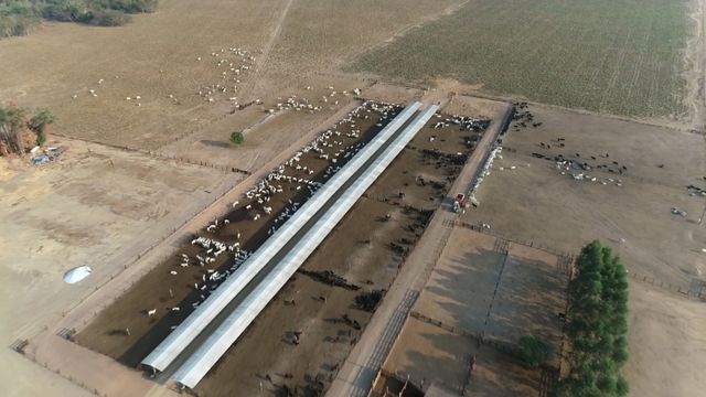 Vista aérea da fazenda Pontal. Foto: Reprodução