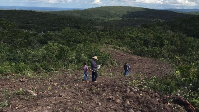 Como melhorar a fertilidade de solo acidentado e cheio de pedras?