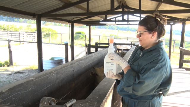 Quais medicamentos não podem faltar na farmacinha da fazenda