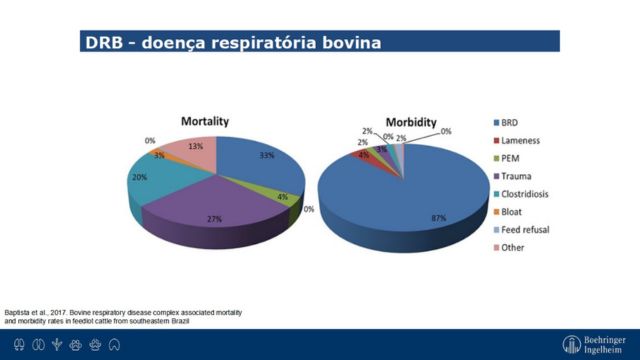 Taxas de mortalidade e morbidade associadas ao complexo de doenças respiratórias bovinas em bovinos confinados no sudeste do Brasil. Fonte: Baptista et al., 2017
