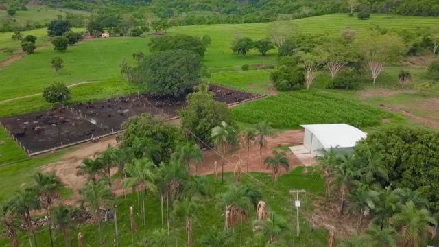 Fazenda Nota 10 estimulará redução de emissões de gases em propriedades rurais