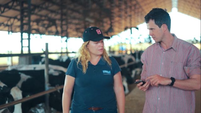 Entenda o potencial das inovações para monitorar o gado e turbinar os ganhos da fazenda