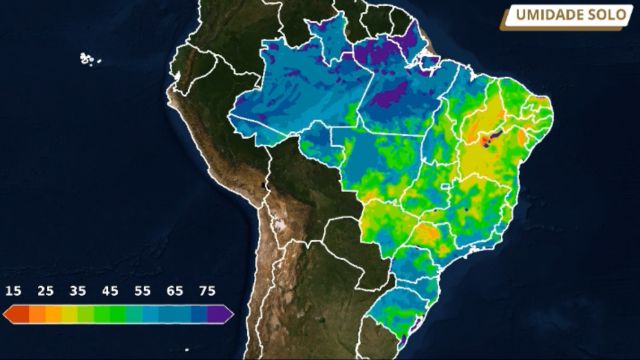 Estiagem faz o nível de umidade do solo cair no Nordeste. Veja os detalhes