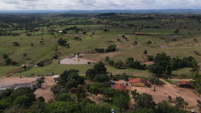 Invasão e ocupação de uma propriedade rural. Saiba as diferenças