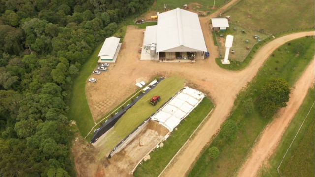 Saiba qual é a metragem certa para retirar a silagem do gado