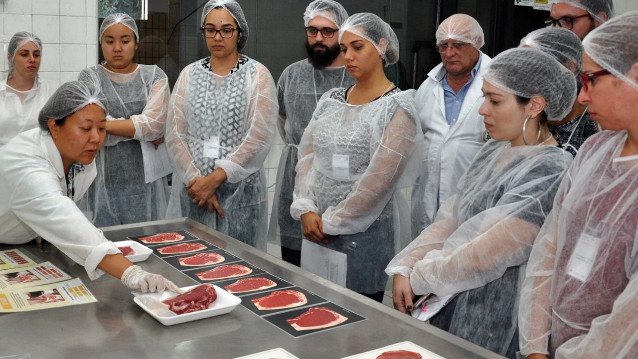 Avaliação de carne bovina no Ital. Foto: Divulgação/Ital