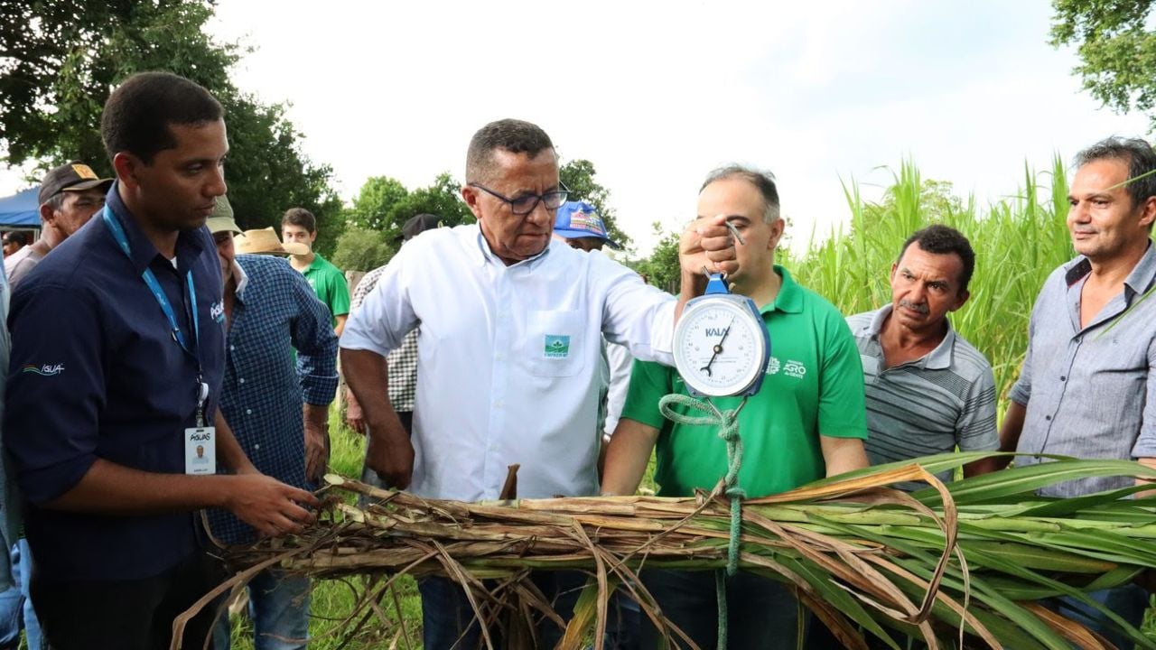 Avaliação de técnicos agropecuários sobre os resultados do biolodo no capiaçu. Foto: Divulgação/Águas Cuiabá